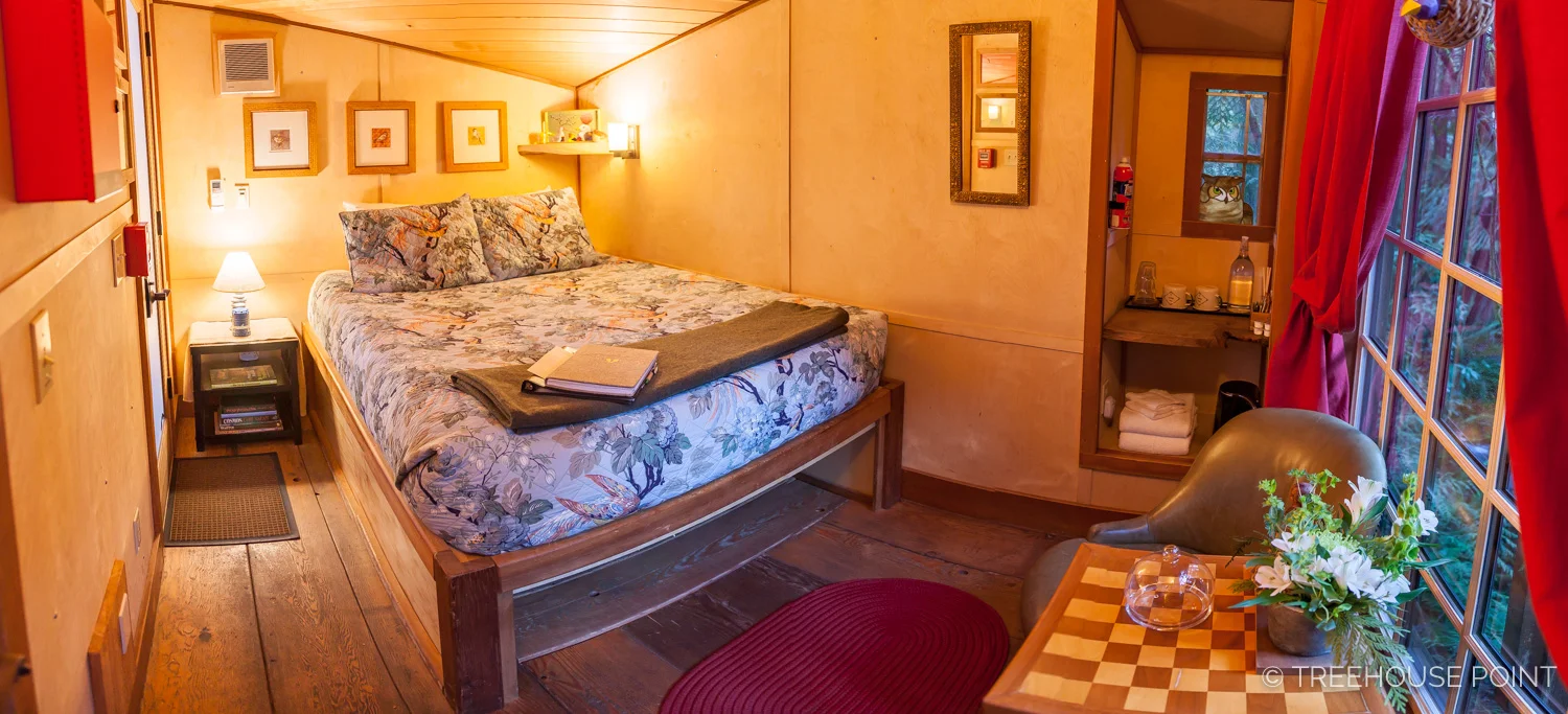 Nest_TreeHouse_Point_2018-44.jpg