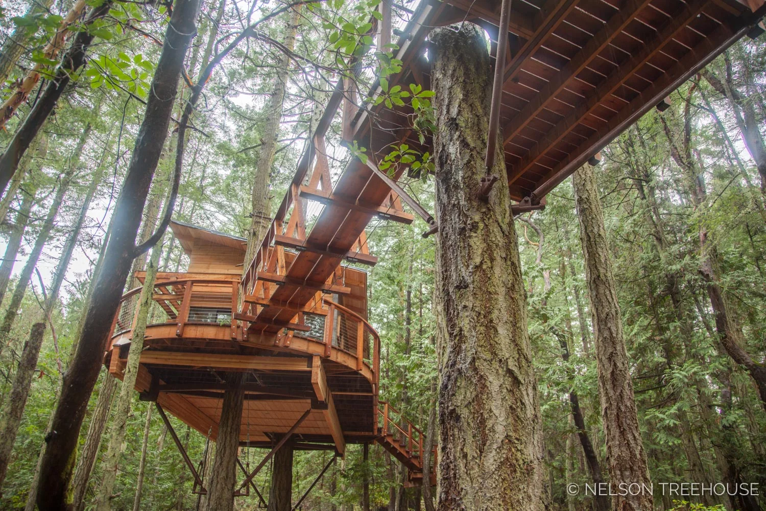 San-Juan-Islands-Nelson-Treehouse-2018-4.jpg
