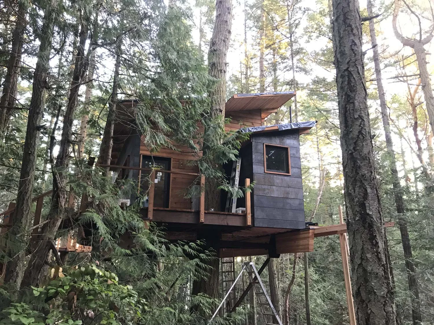 san-juan-islands-nelson-treehouse-2018-build18.jpg