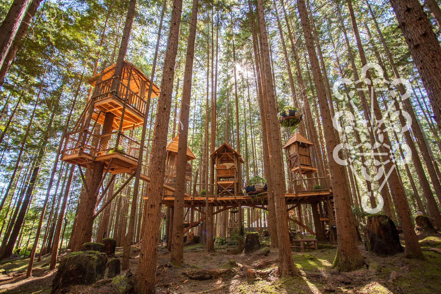 Nelson Treehouse,Rooms To Go Discontinued Bedroom Sets