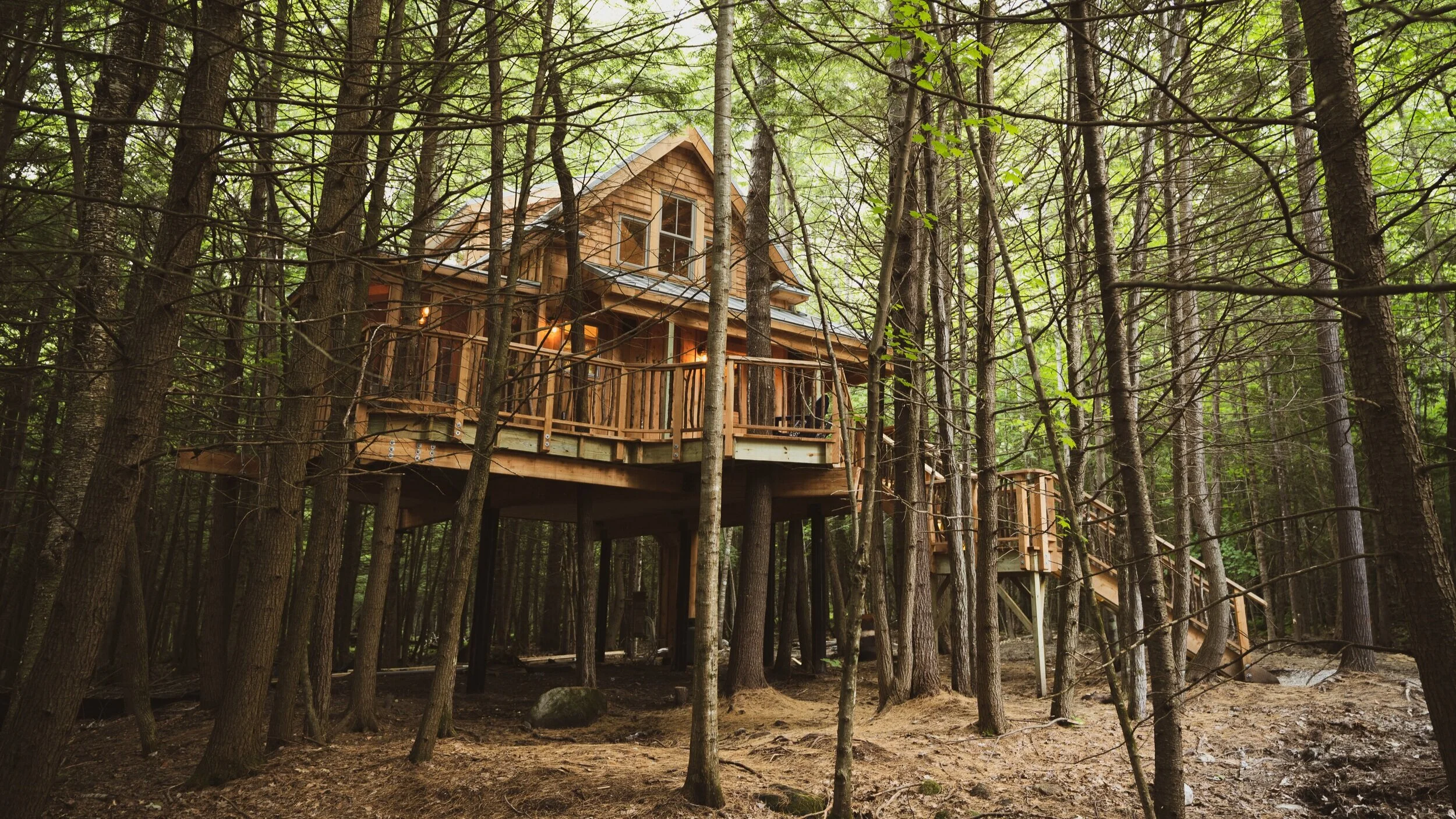 Stay In A Treehouse Nelson Treehouse stay-in-a-treehouse-nelson-treehouse