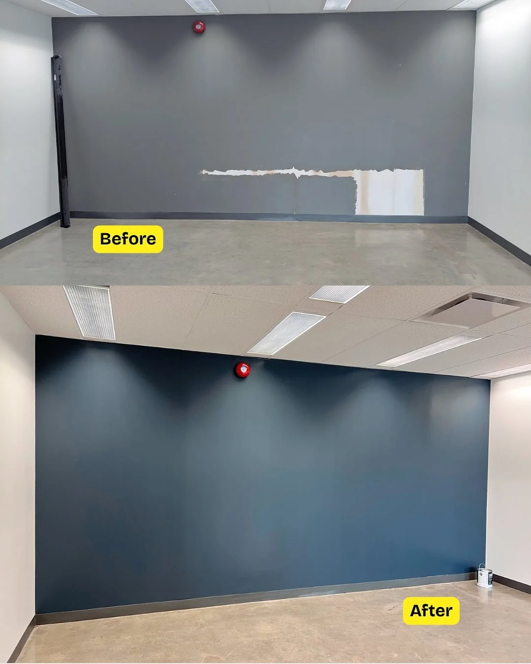Our client had an extra room in their office that they needed touched up so they could actually use it.
We primed and painted the 2 grey walls with @benjaminmoore Scuff-X which has higher abrasion durability. We also repaired and replaced the baseboa