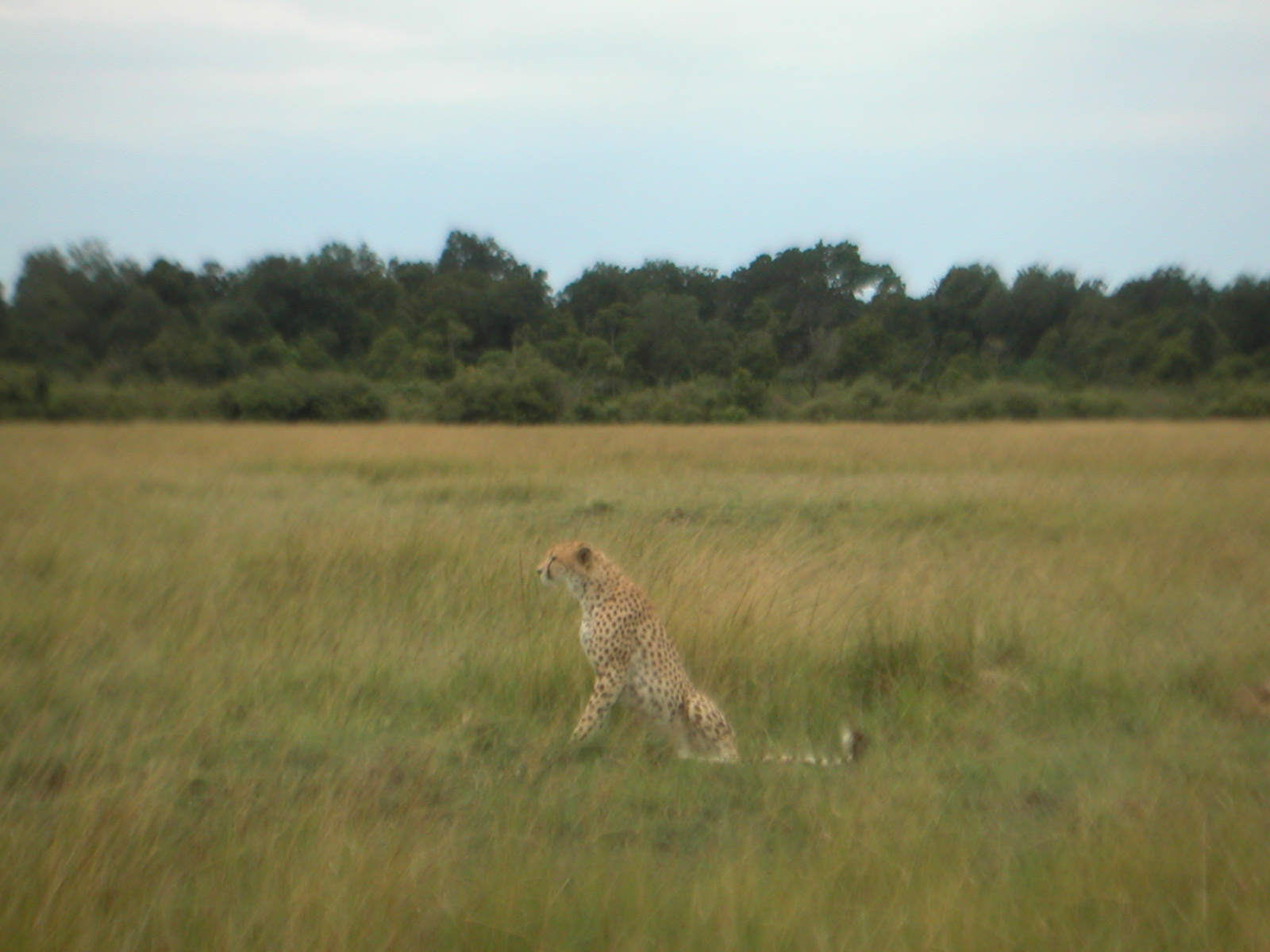 PICT0107.JPG