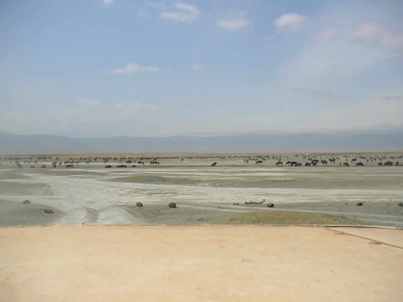 PICT0216.JPG