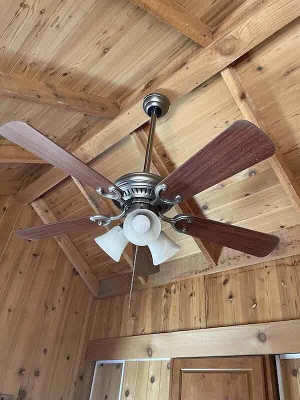 cieling fan.JPG