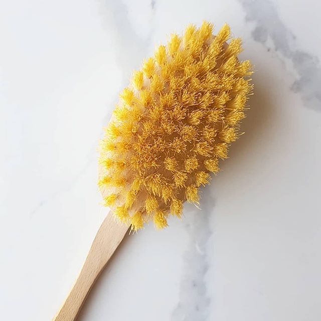 Repost @theorganicdietitian
・・・
Do you dry brush?🙋&zwj;♀️🙋&zwj;♂️ ..
I recommend it to all my clients to help remove toxins.  Our world is full of toxins.  Even if you try really hard to avoid them they are impossible to completely avoid.  So you n