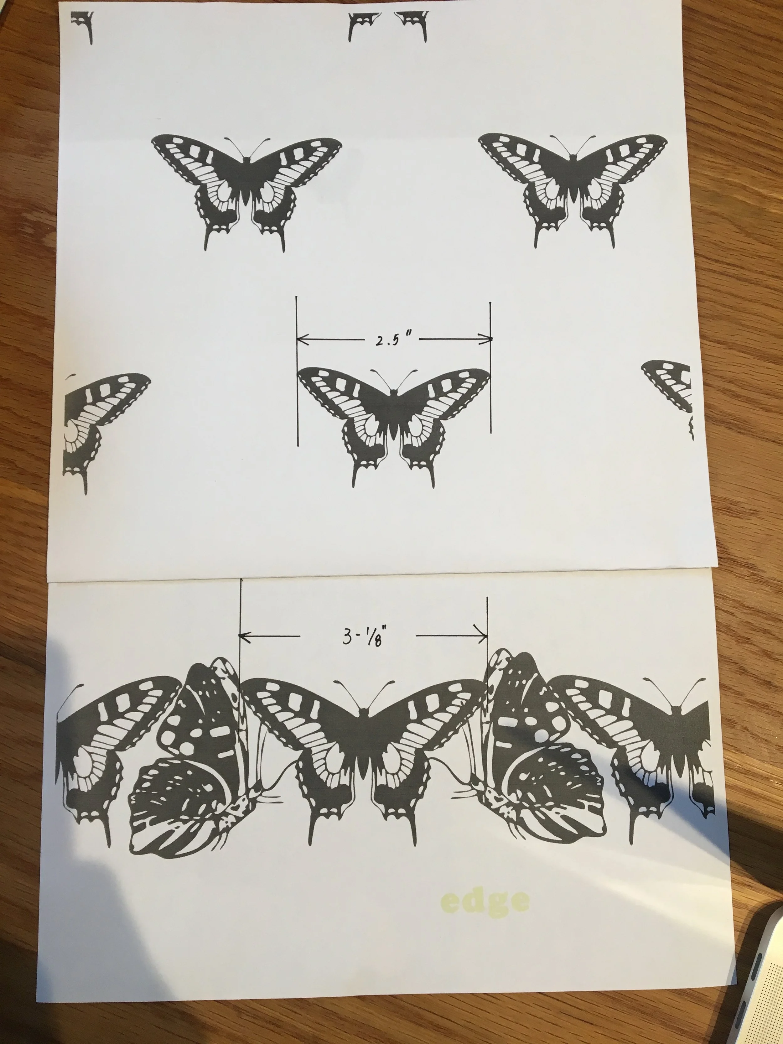 papillon_gimar_initial sketch.JPG