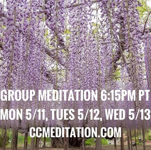 Group Meditation
🧘🏻&zwj;♀️🧘🏻&zwj;♂️🙏🏻🌈 Today Mon 5/11 at 6:15 PT
7:15MT &bull; 8:15CT &bull;9:15ET

Let loose, relax, connect at tonight&rsquo;s free online group meditation 
This week&rsquo;s zoom schedule:

Mon 5/11- Wed 5/13 at 6:15PM PT 
T