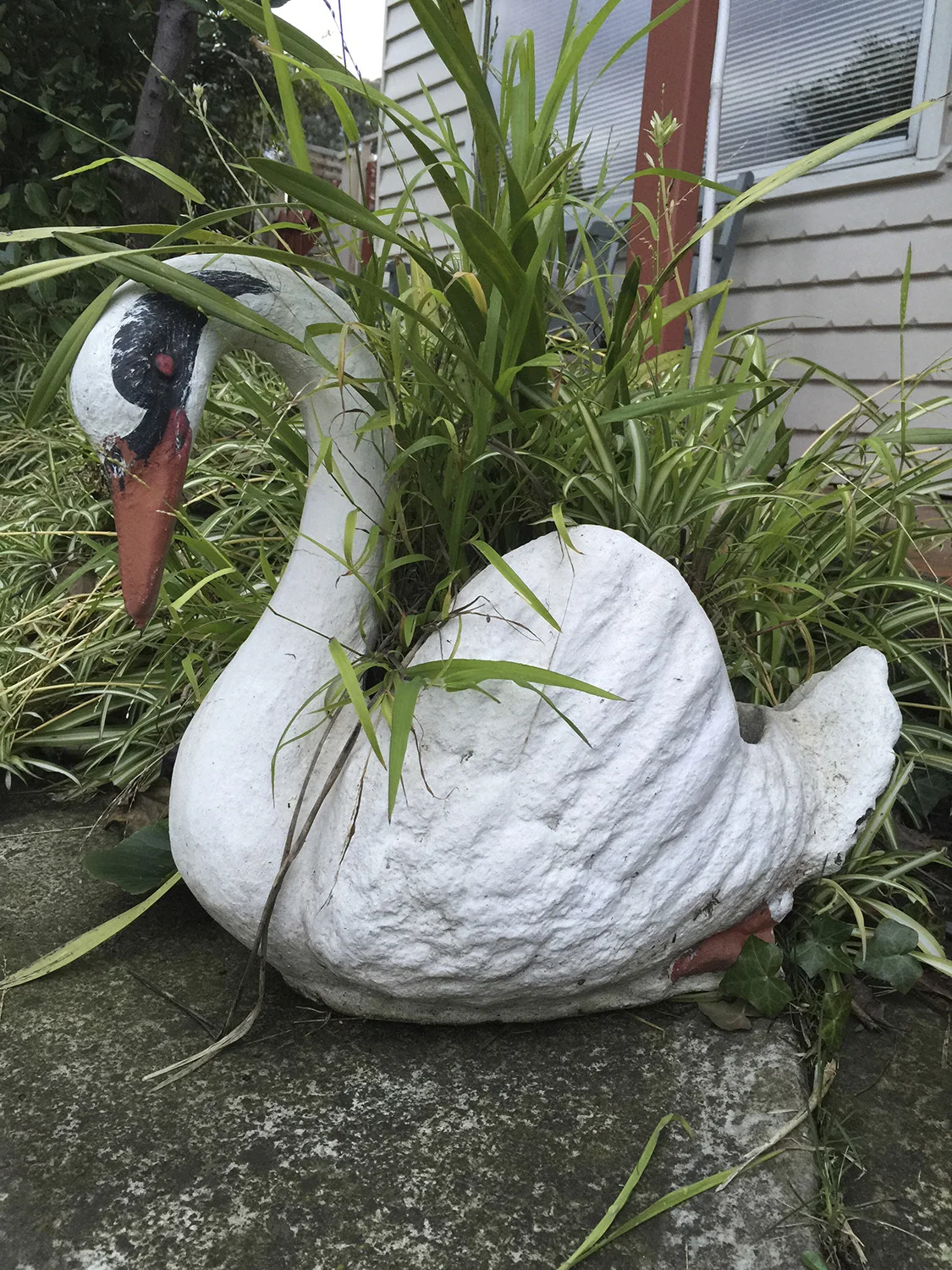 Neighbourhood #10, White swan, Brunswick, Melbourne