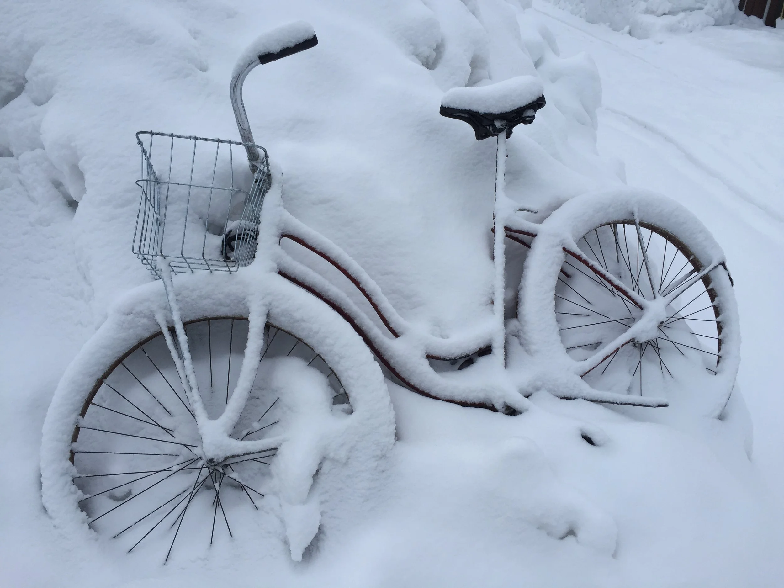 Crested Butte, Colorado