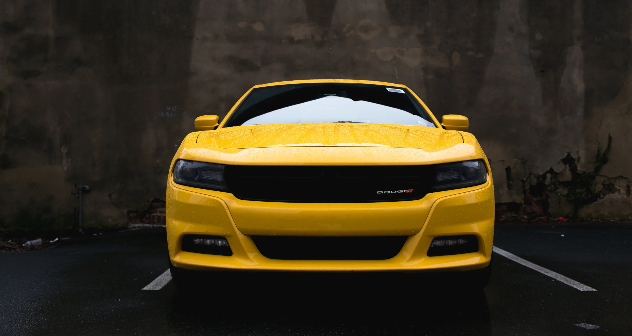 5N3A1318.jpg