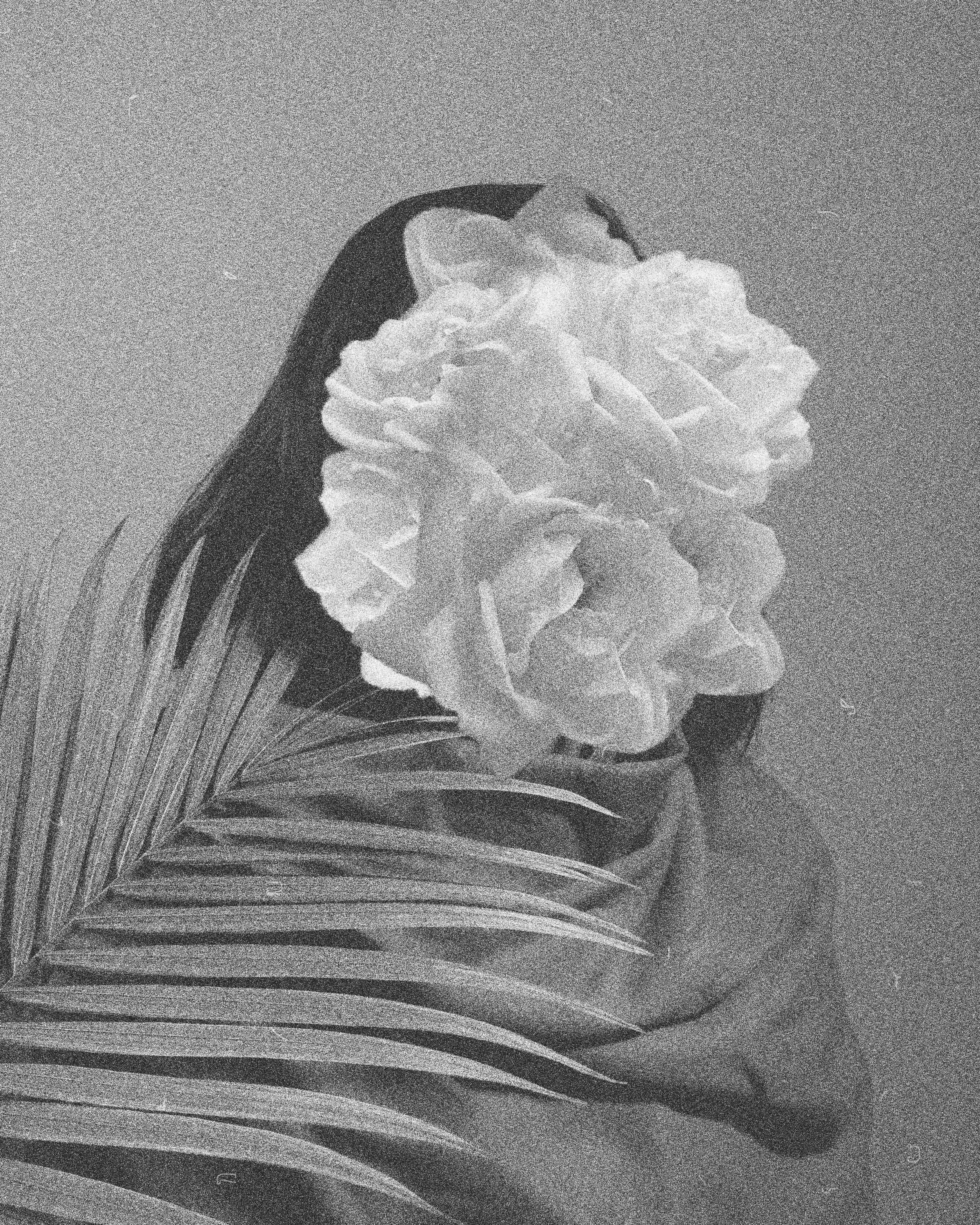 bloom.jpg