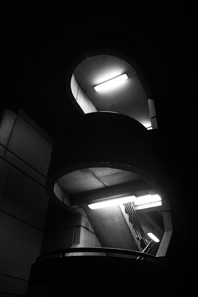 _MG_8031.jpg