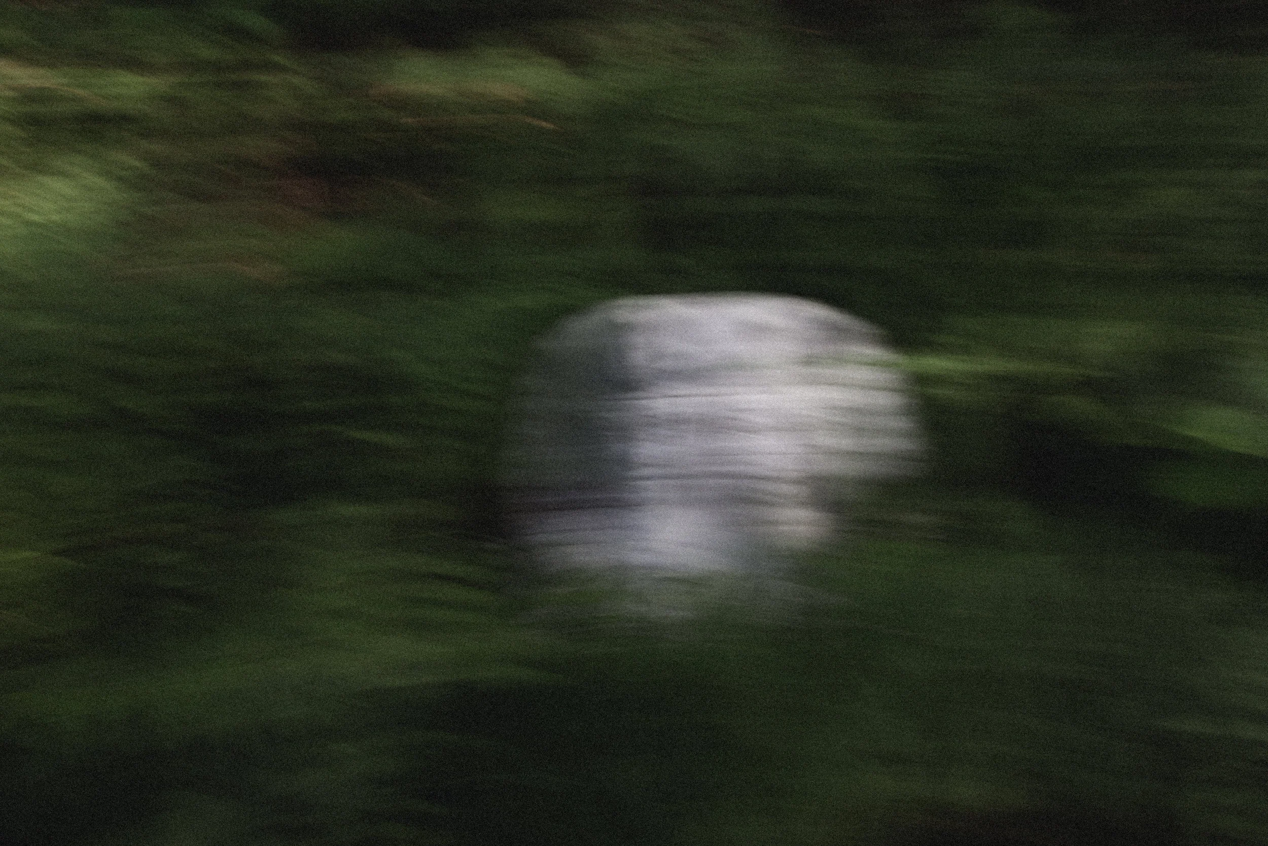 _MG_8546.jpg