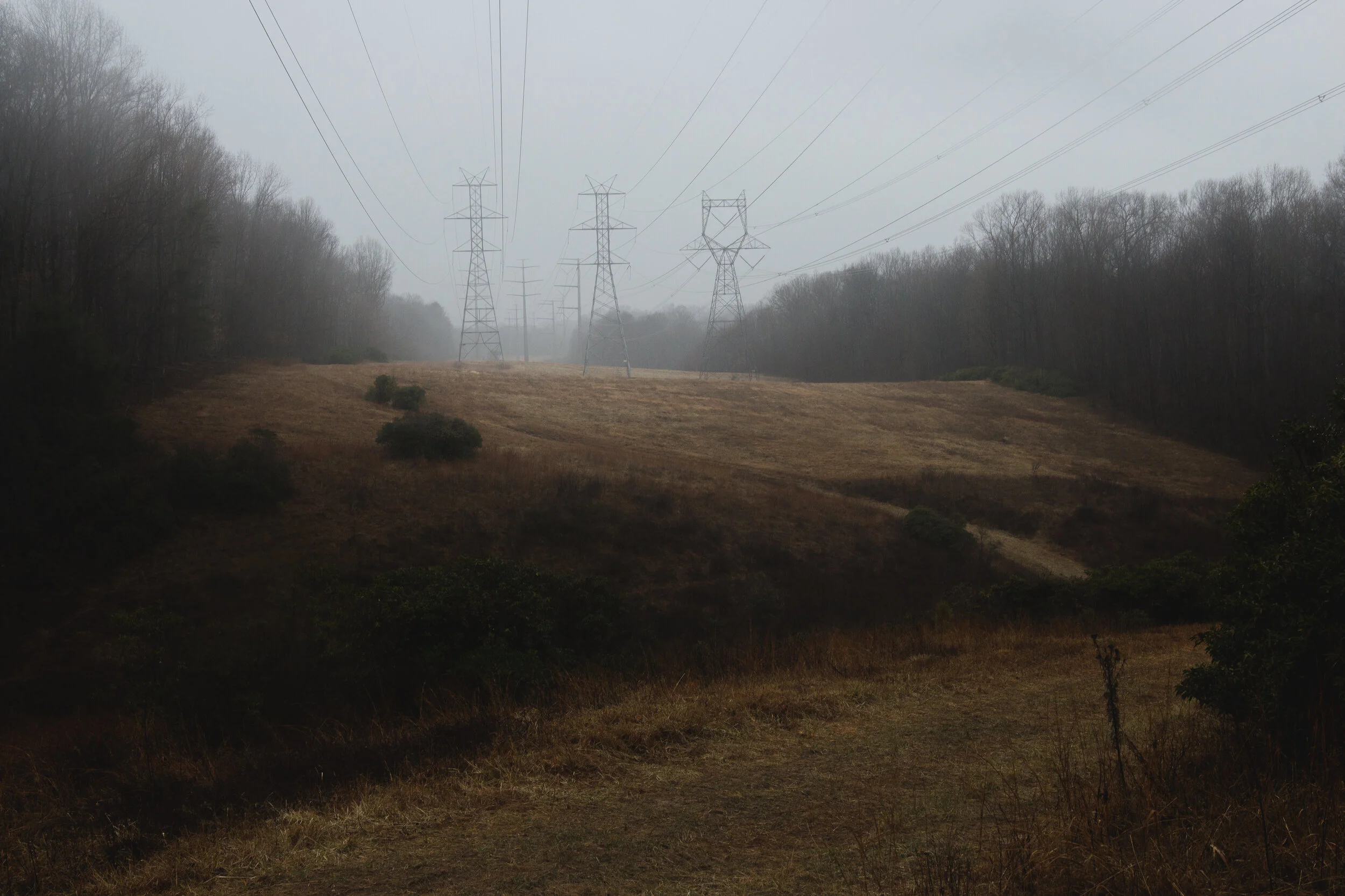_MG_8784.jpg
