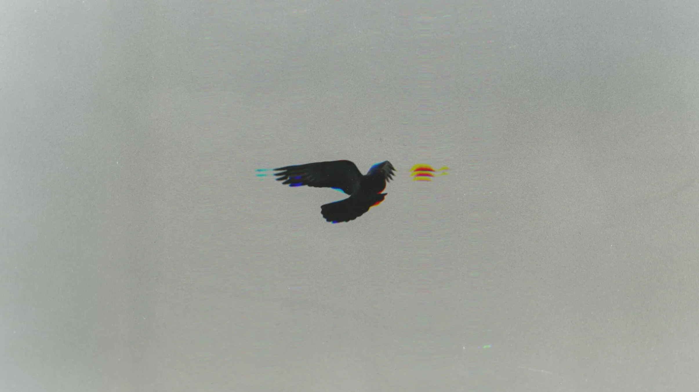 img037.jpg