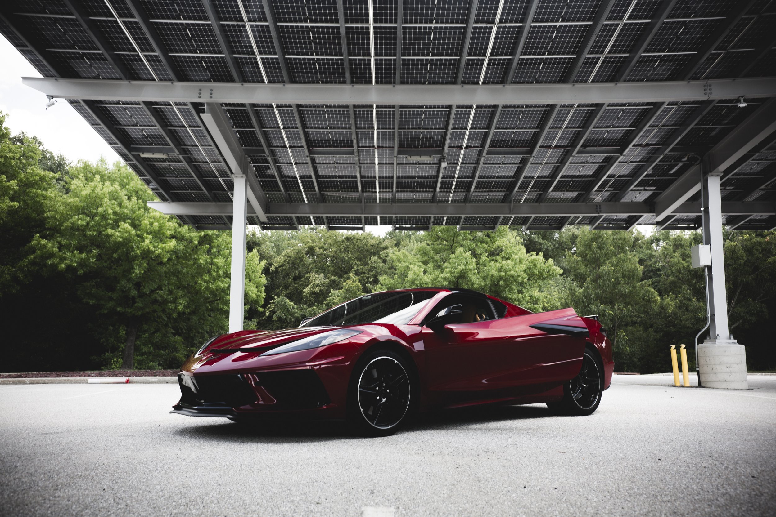 5N3A8795-2.jpg