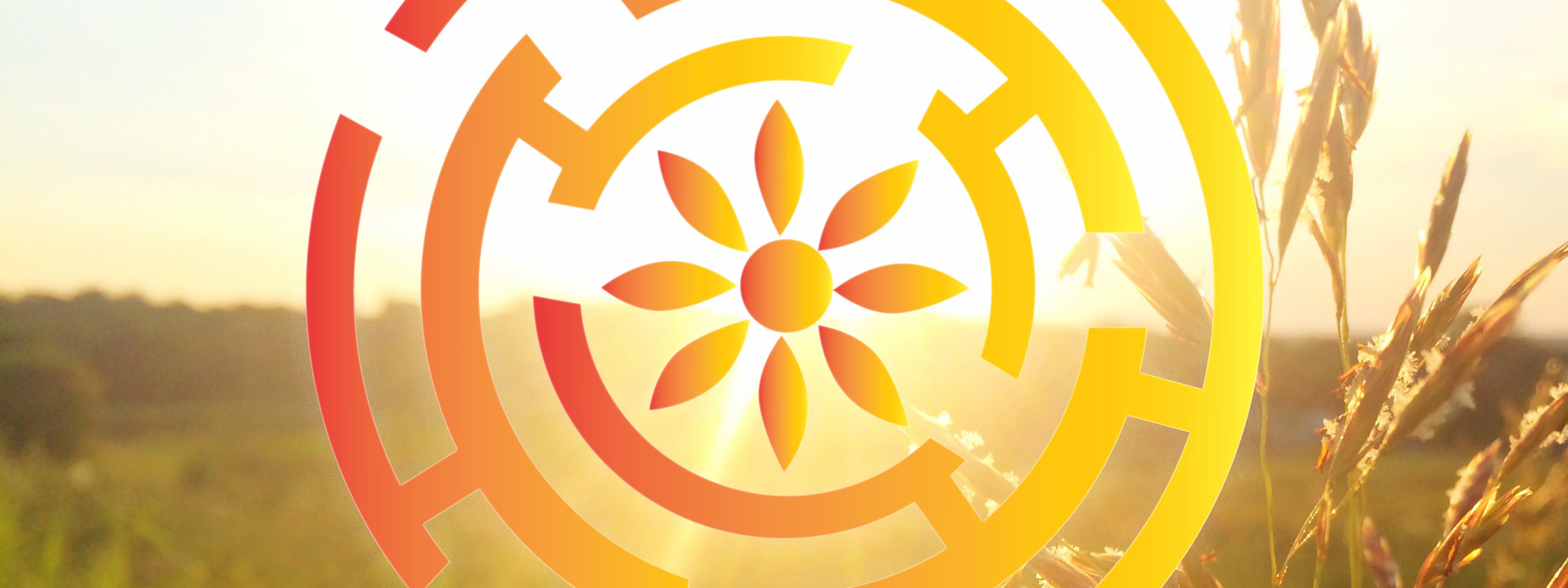 Mario Trunz Sunset with Logo Overlay.jpg