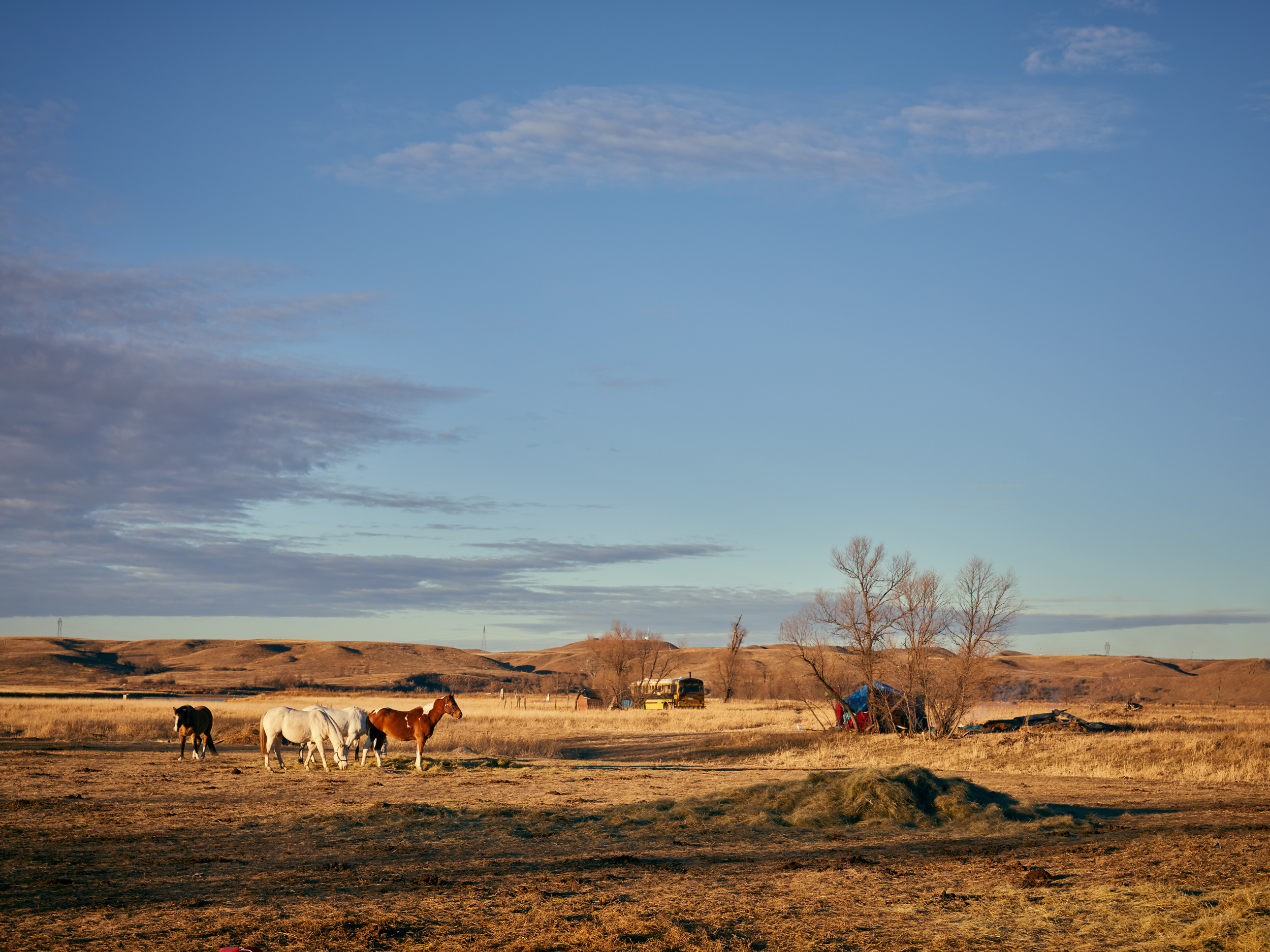 StandingRockHorses_StandingRock2016_0012.jpg