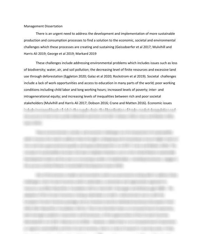 Management Dissertation_thumb-0.jpg