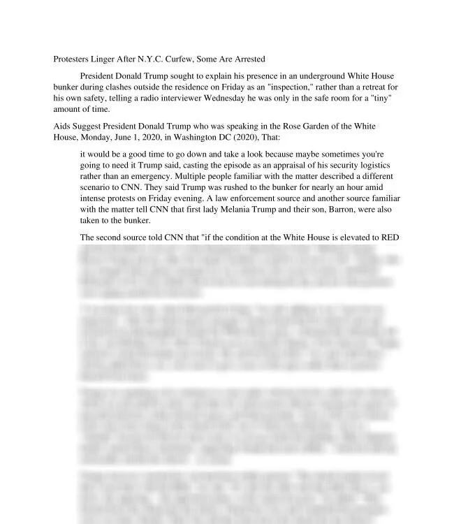 Protesters Arrested NYC_thumb-0.jpg