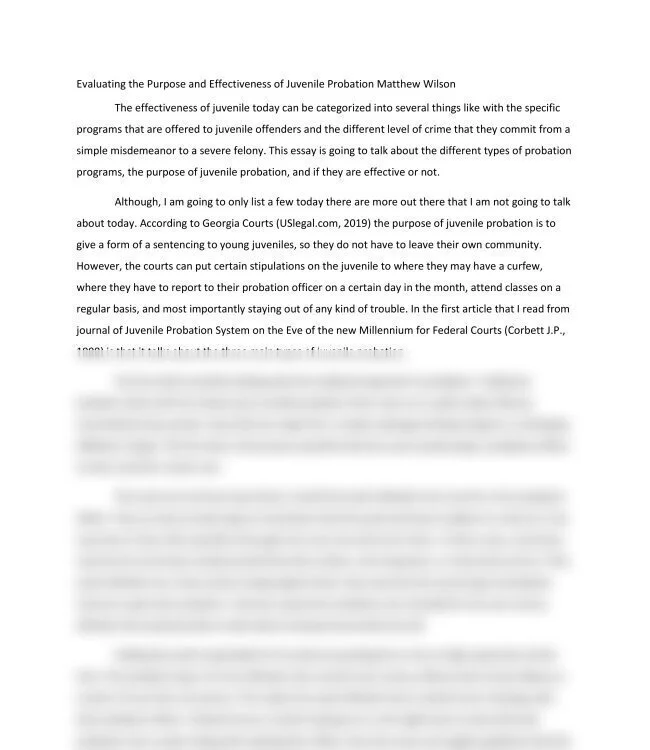 Evaluating the Purpose and Effectiveness of Juvenile Probation _thumb-0.jpg