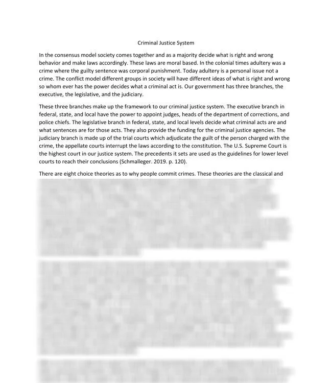 Criminal Justice System_thumb-0.jpg