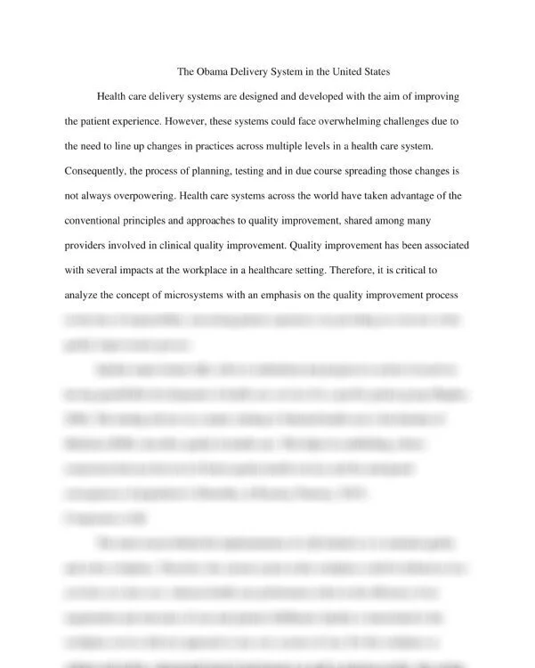 The Obama Delivery System in the United States_thumb-0.jpg