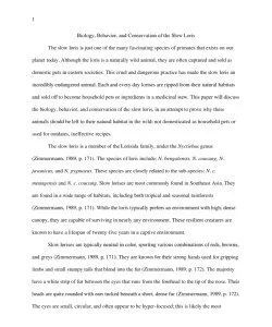 Biology, Behavior, and Conservation of the Slow Loris_thumb-0.jpg