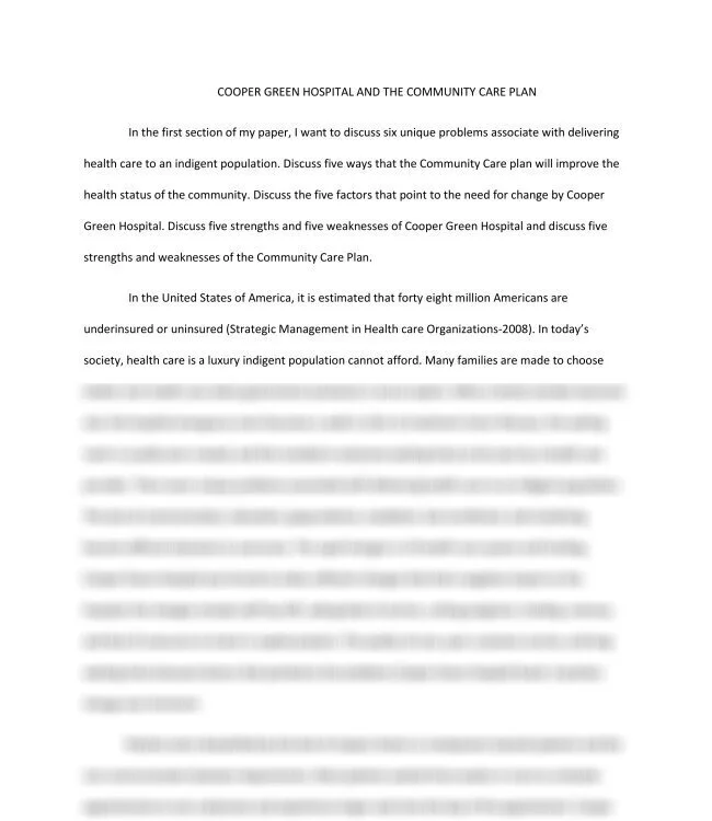 COOPER GREEN HOSPITAL AND THE COMMUNITY CARE PLAN_thumb-0.jpg