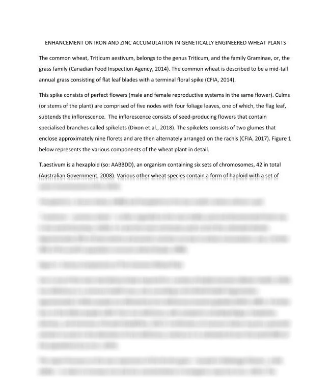 ENHANCEMENT ON IRON AND ZINC ACCUMULATION IN GENETICALLY ENGINEERED WHEAT PLANTS_thumb-0.jpg