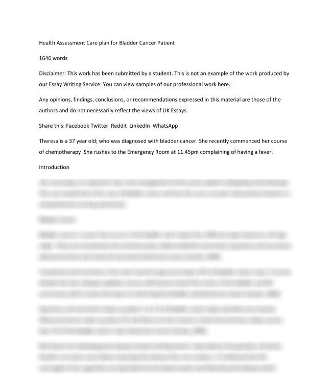 Health Assessment Care plan for Bladder Cancer Patient_thumb-0.jpg