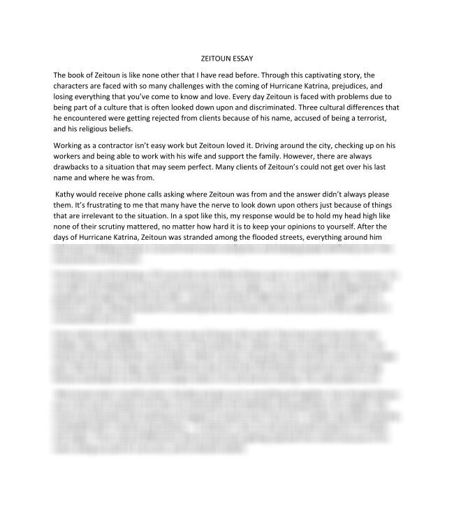 ZEITOUN ESSAY_thumb-0.jpg