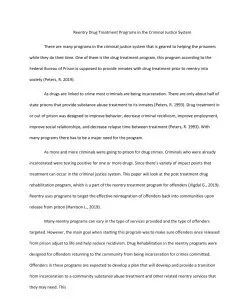 Reentry Drug Treatment Programs in the Criminal Justice System_thumb-0.jpg