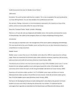 Health Assessment Care plan for Bladder Cancer Patient_thumb-0.jpg