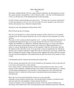 CELL ORGANELLES_thumb-0.jpg