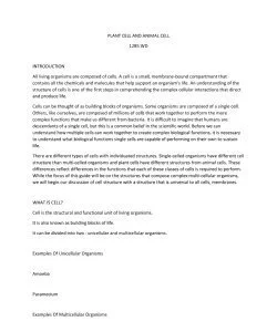 PLANT CELL AND ANIMAL CELL_thumb-0.jpg