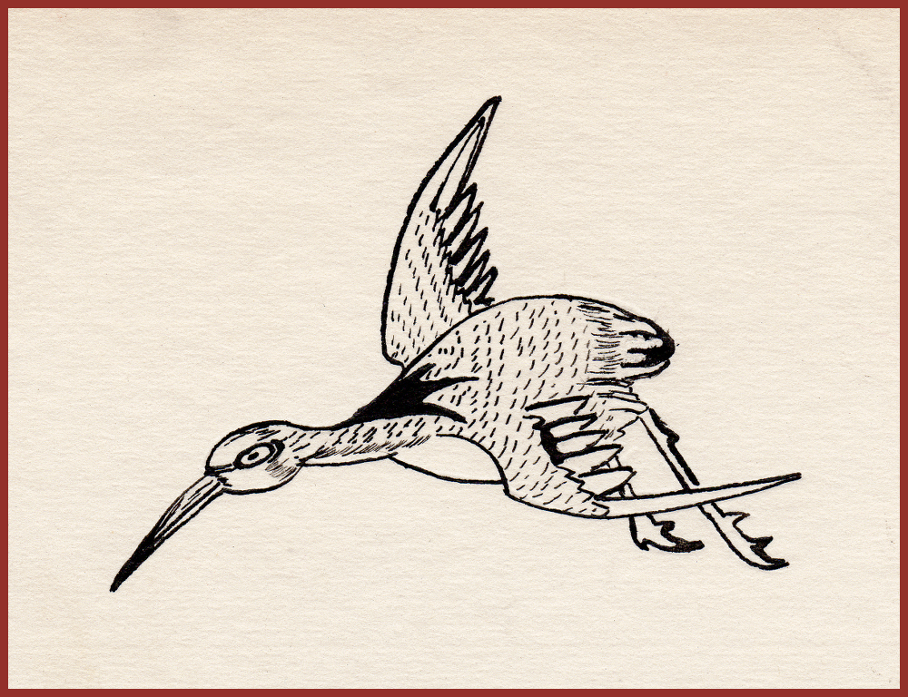 ch6-bird.png