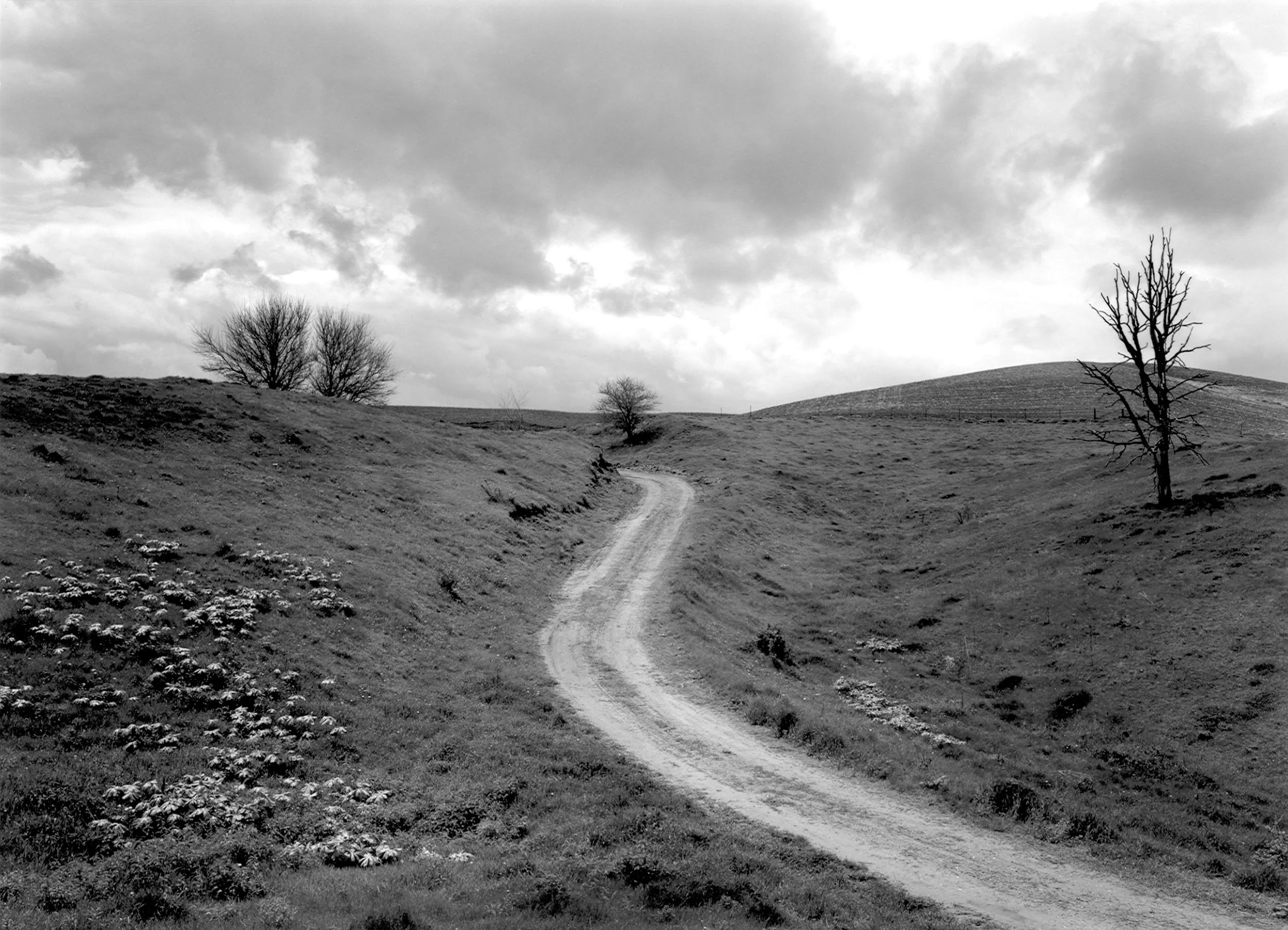 Hillside Lane and Clearing Storm, IL, 1984