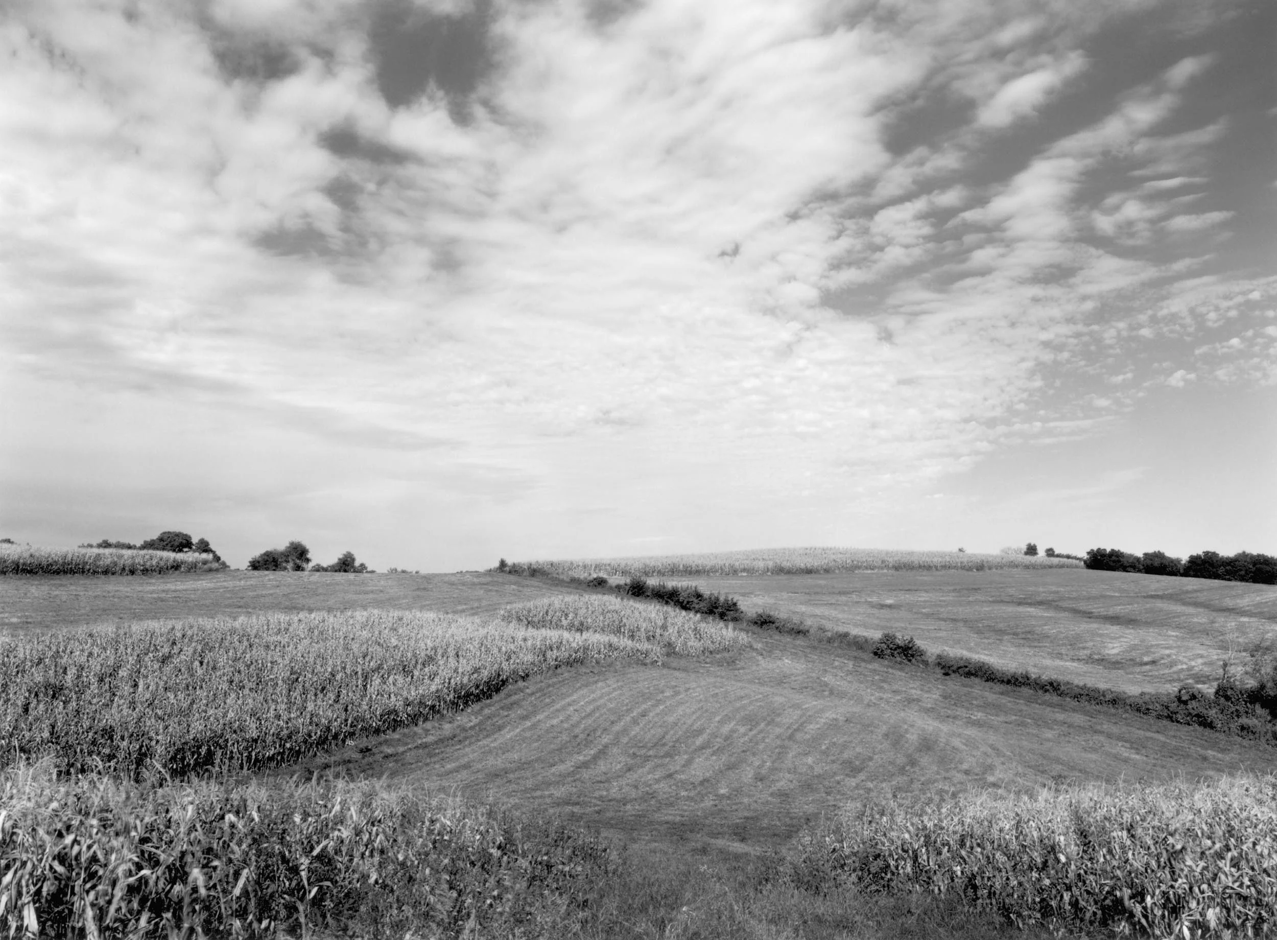 Cornfield and Clouds, IL, 2002