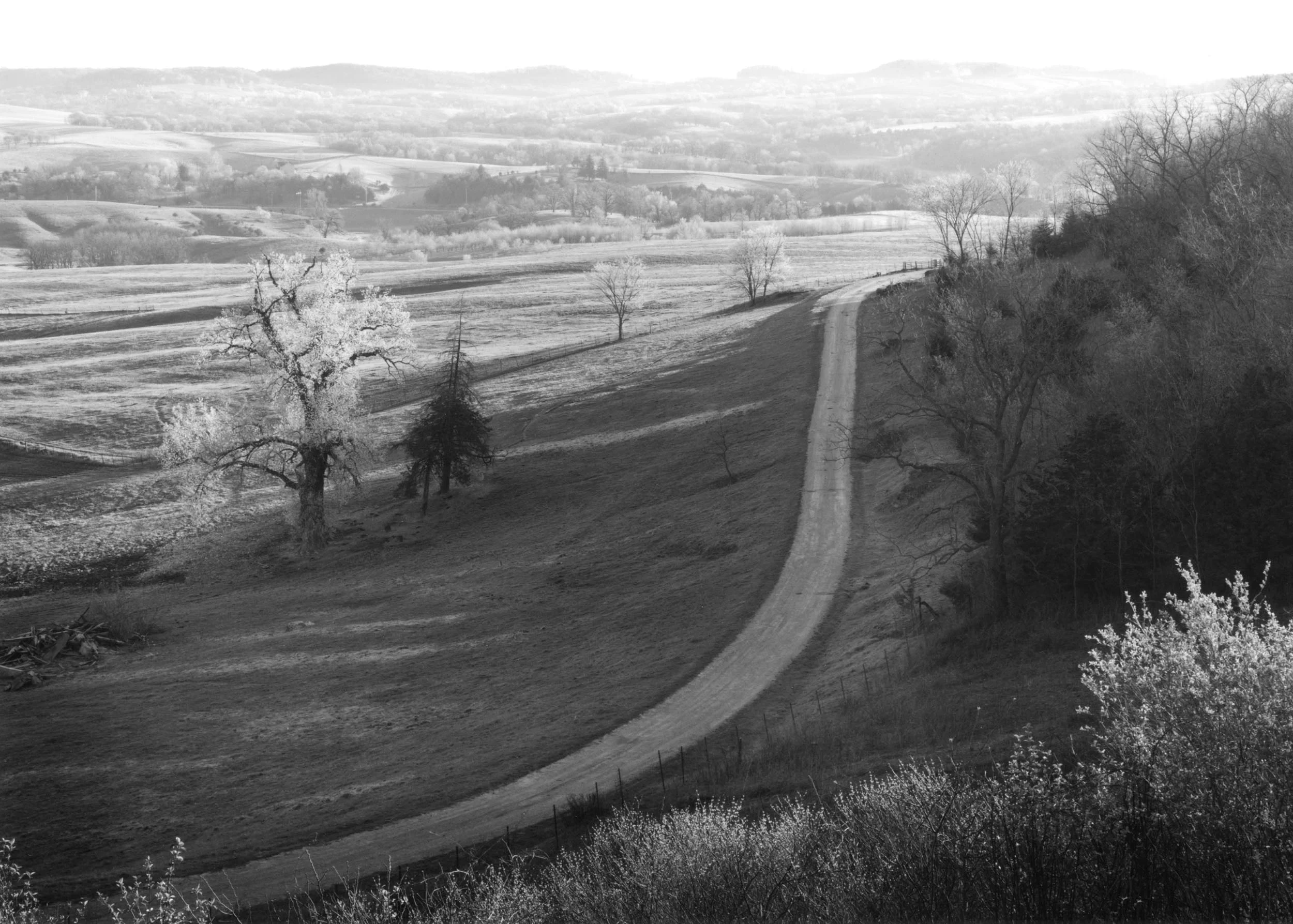 Dawn, IL, 2006