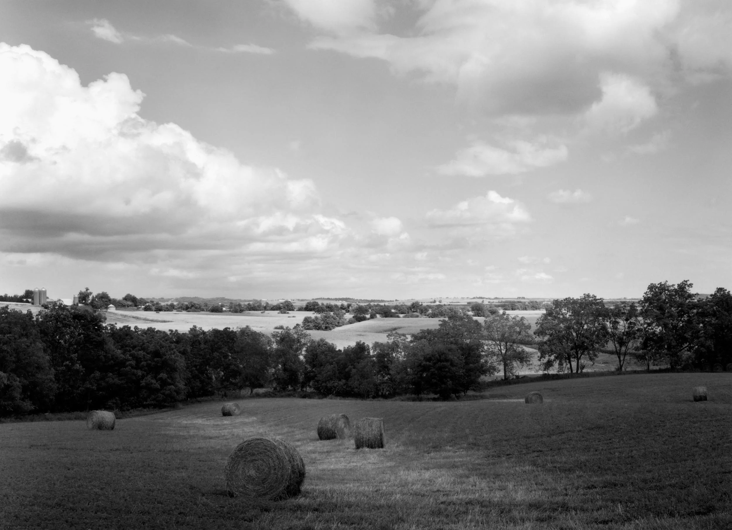 Eden Road Landscape, IL, 2007