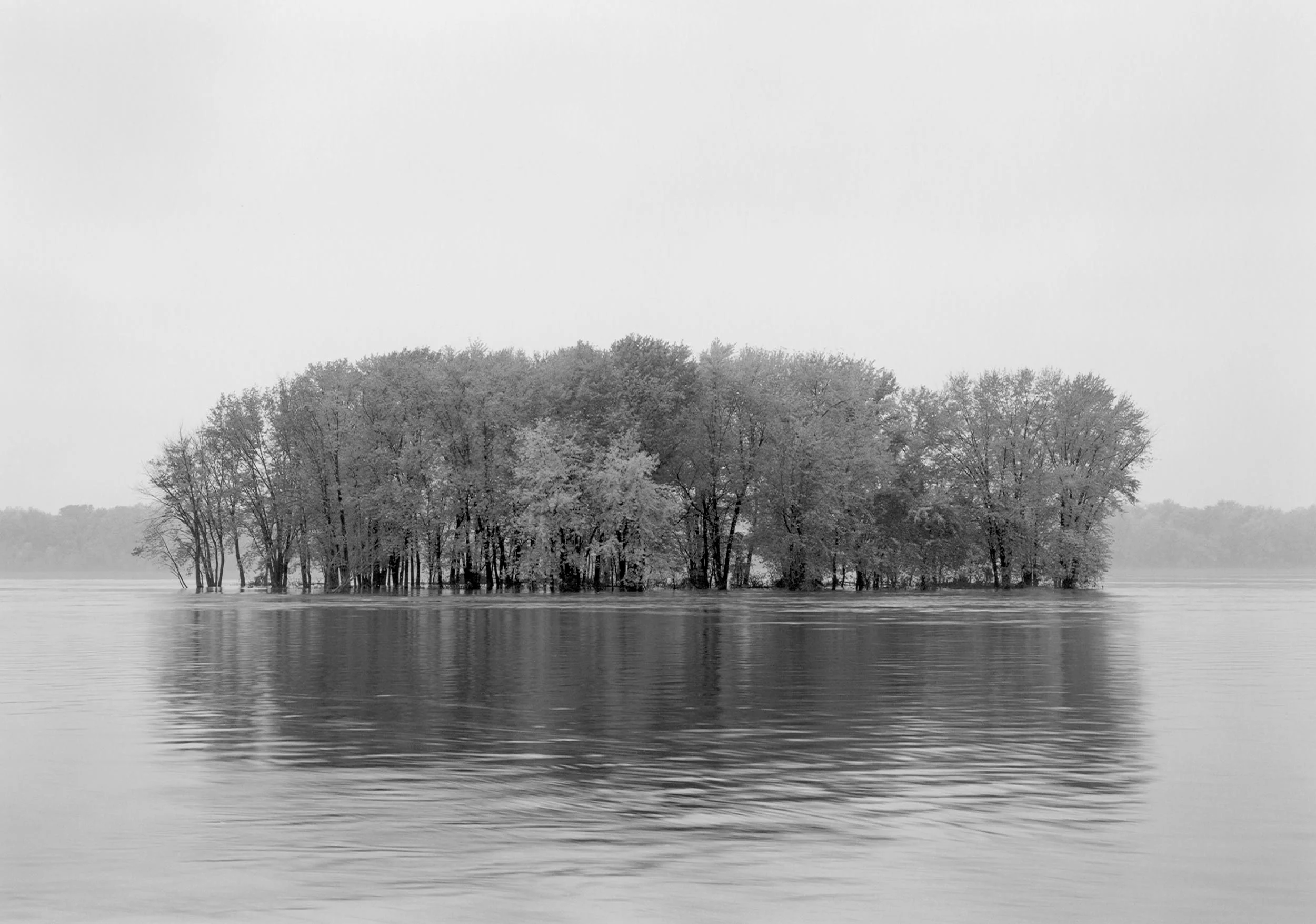 Flooded Island, Fog, 1986