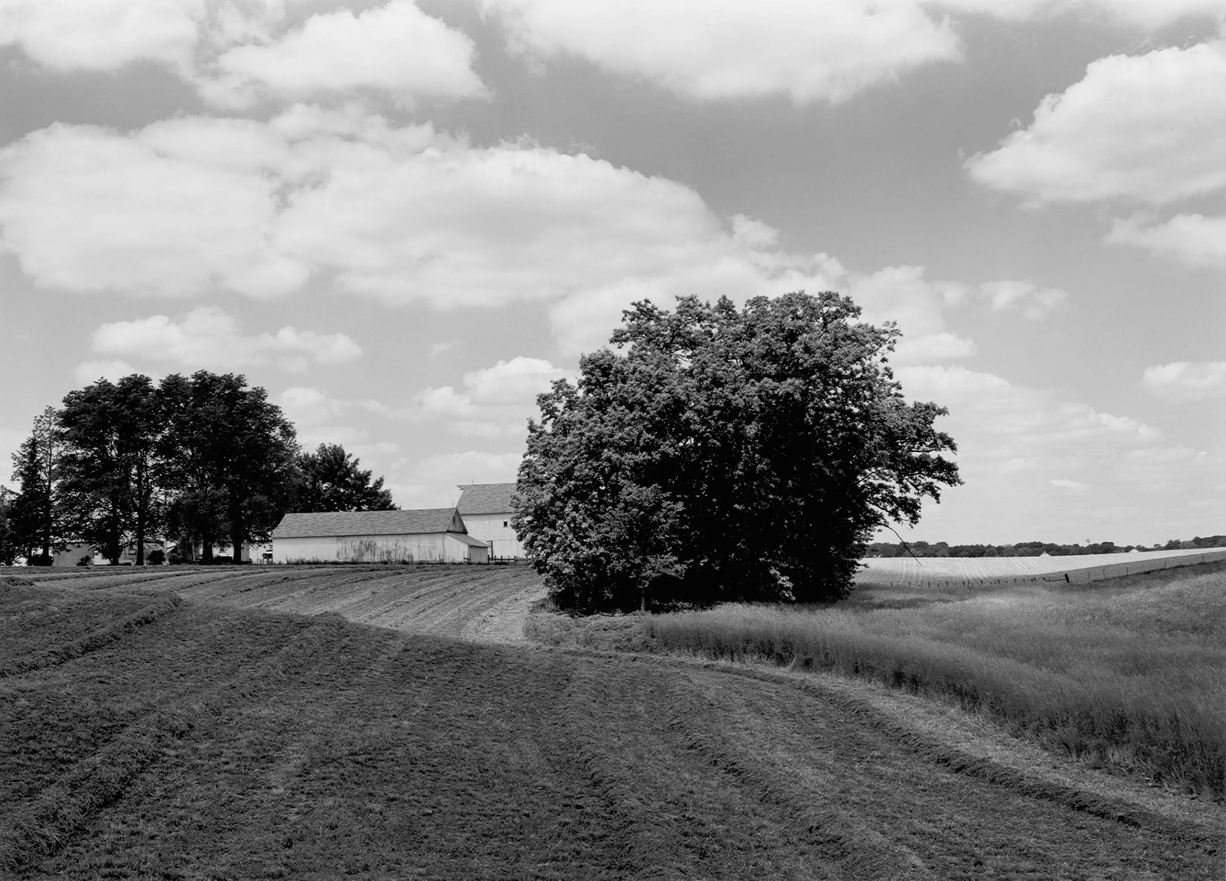 Hayfield, IL, 1986