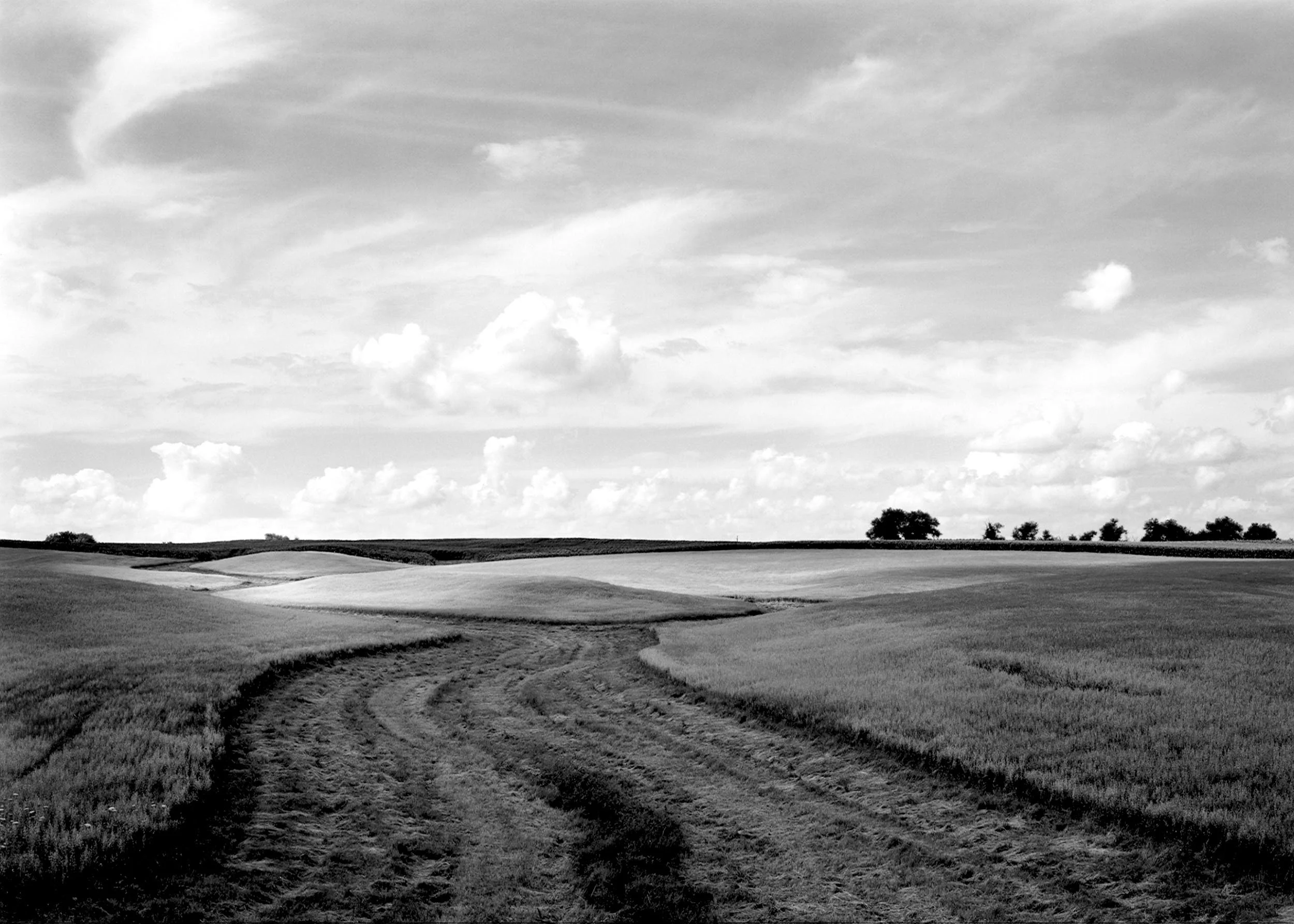 Landscape with Oats, IL, 1994