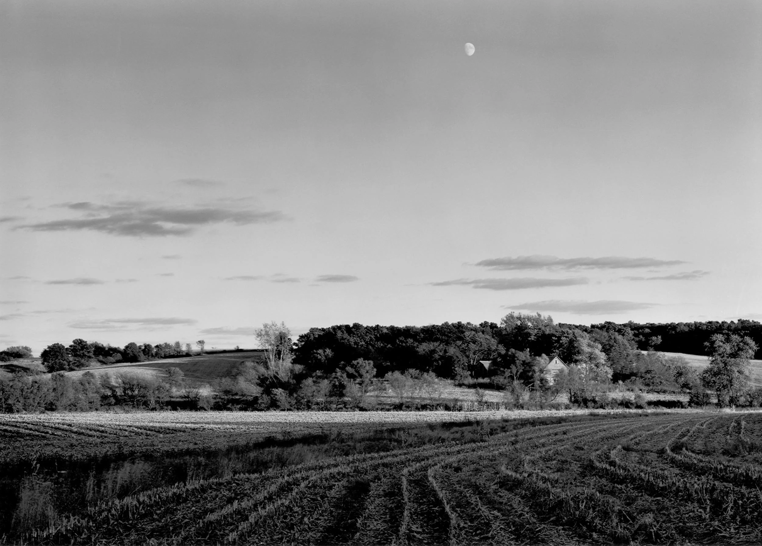 Moonrise, Cornfield, IL, 2000