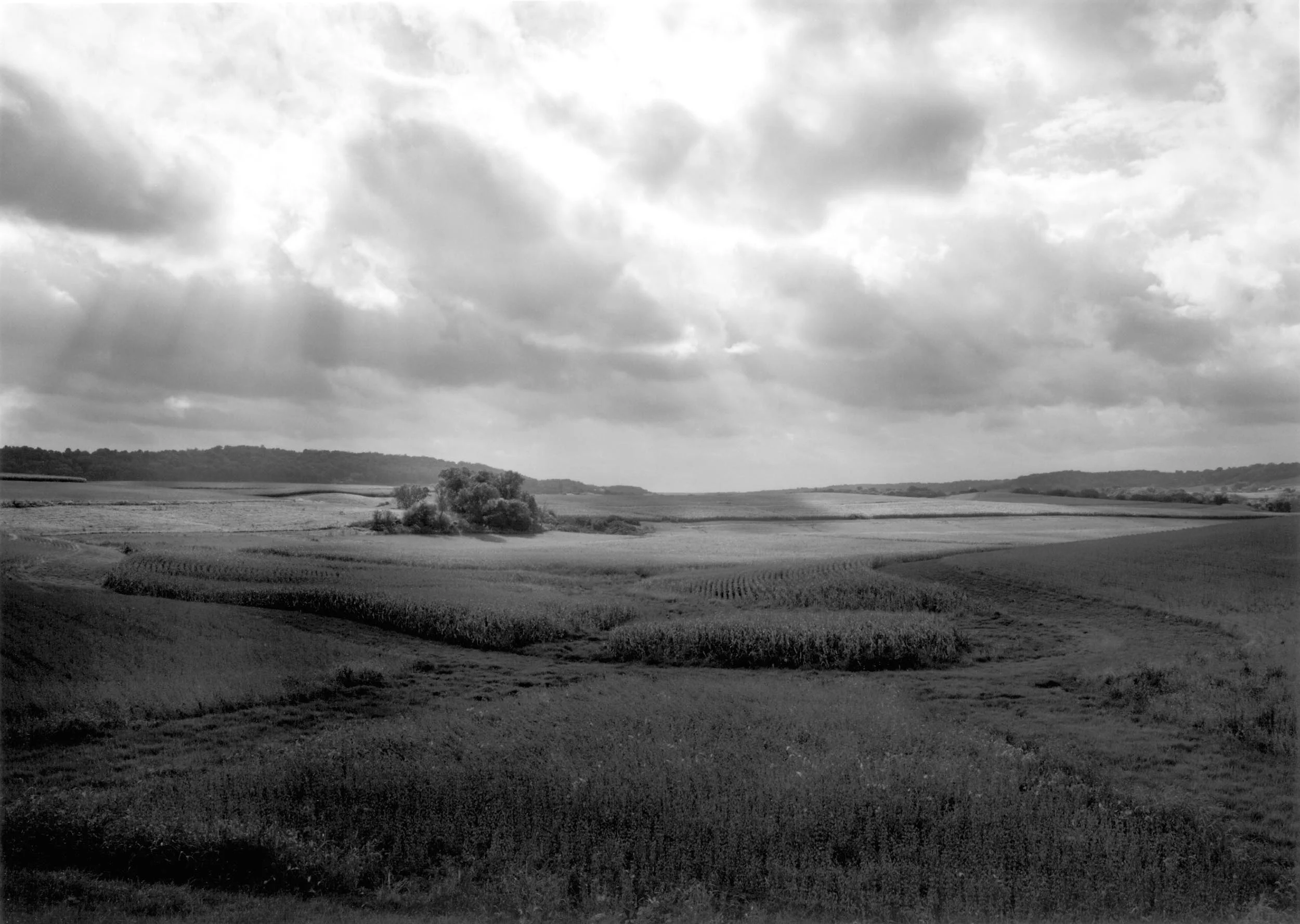 Near St. Donatus, IA, 2002