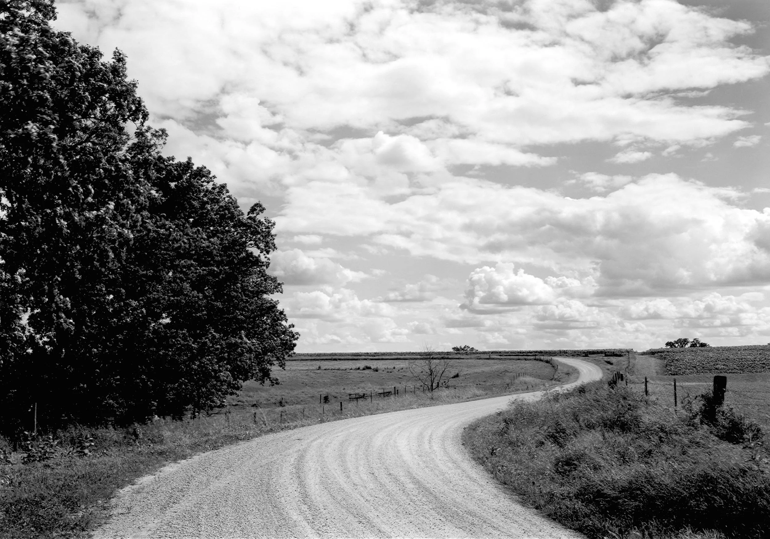 Road, Oaks and Clouds, IL, 1996
