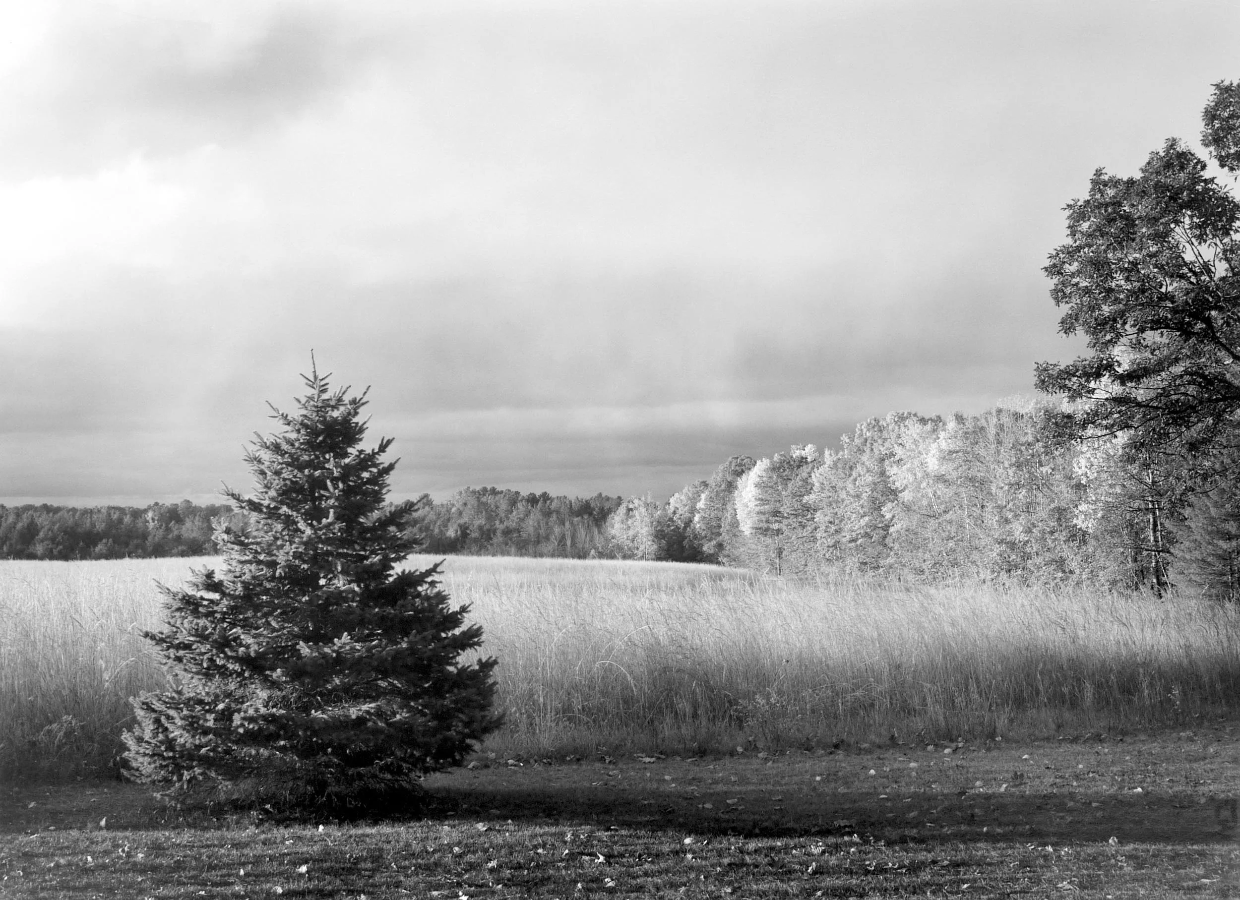 Snow Virga, Sunrise, WI, 2012