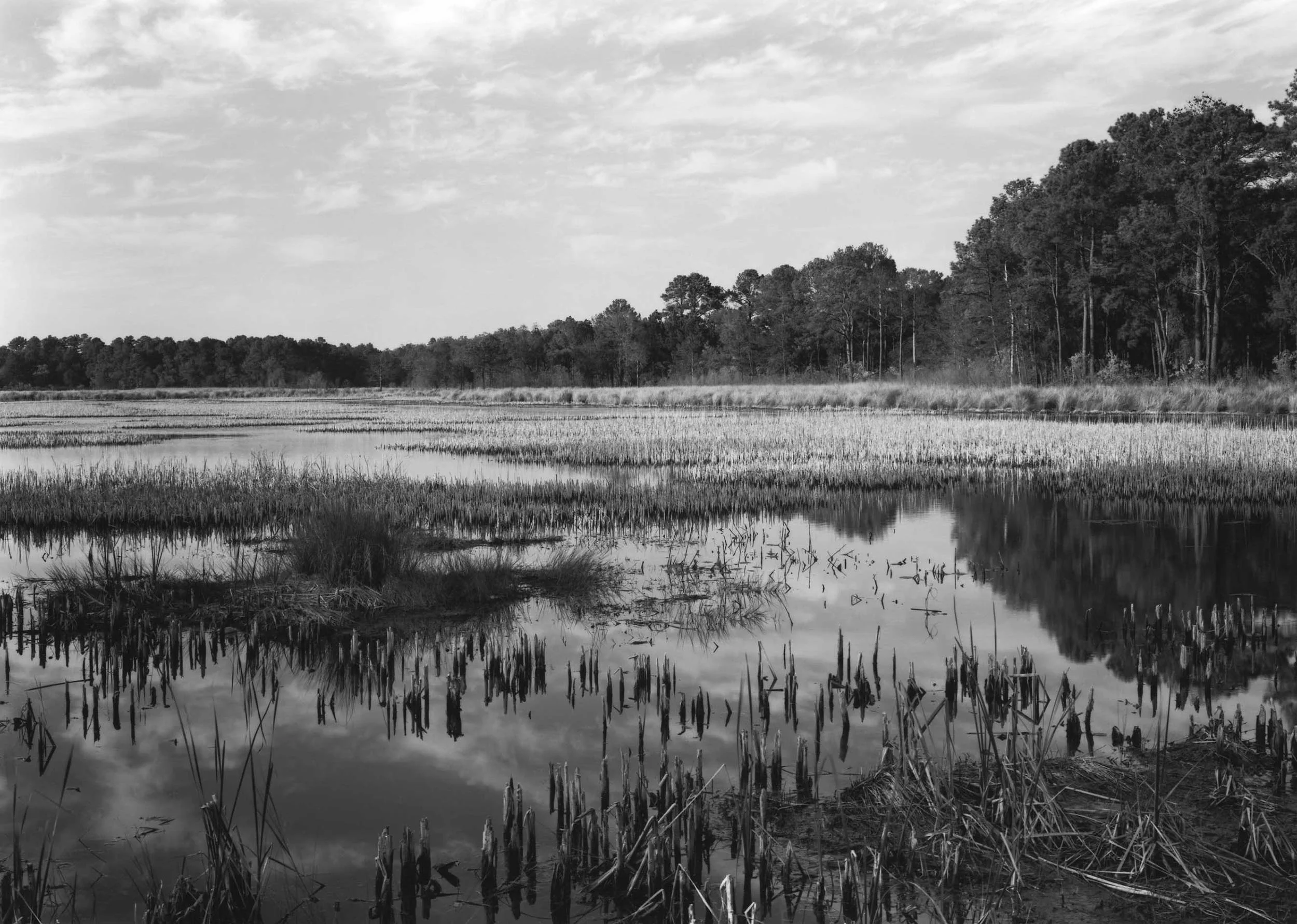 Tidal River, SC, 2001